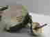 item-115625756=3