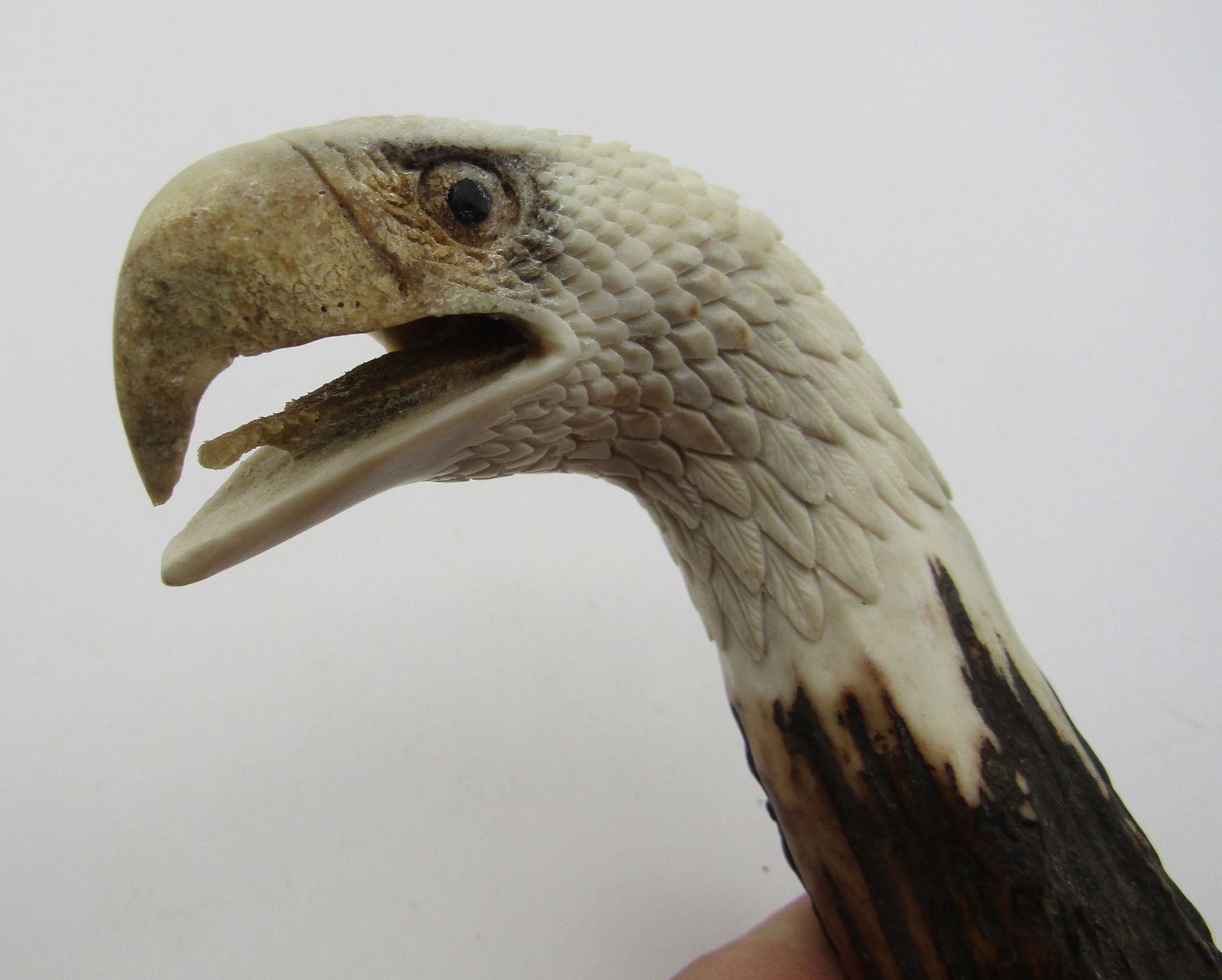 CARVED STAG EAGLE CANE HANDLE (1 of 3)