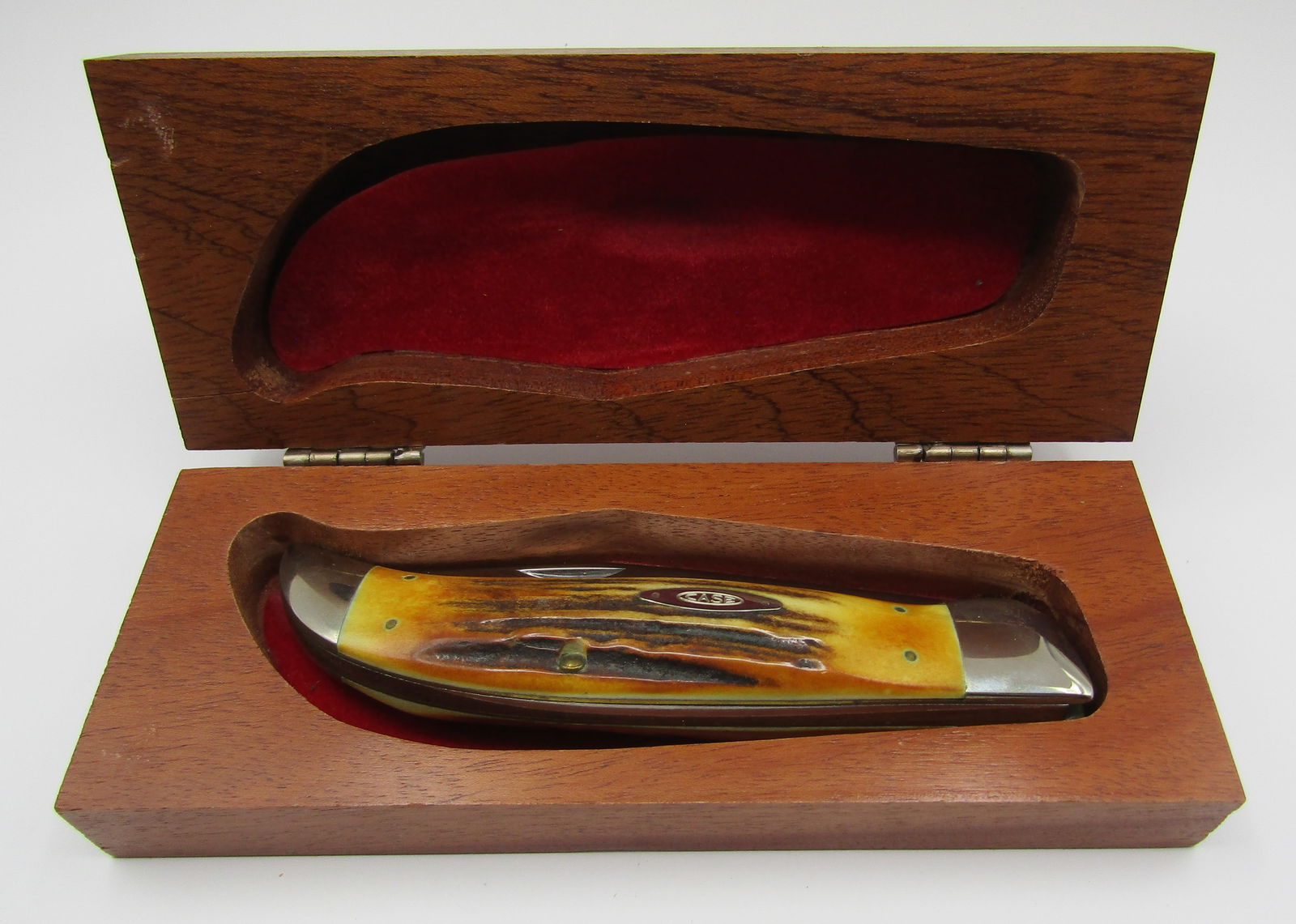 CASE XX STAG BULLDOG FOLDING HUNTING KNIFE IN BOX (1 of 4)