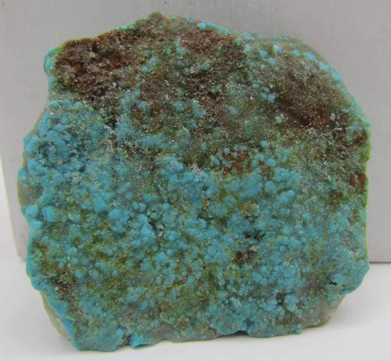 KINGMAN TURQUOISE NUGGET 260 CARAT (1 of 5)