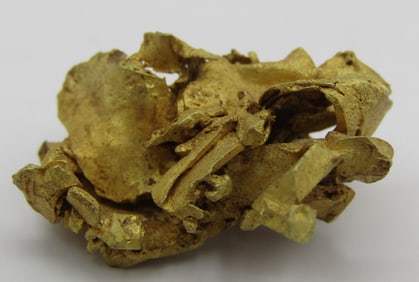 CALIFORNIA GOLD NUGGET 3/4 INCH