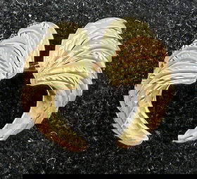 TRICOLOR 14K SOLID GOLD EARRINGS: UNIQUE WHITE YELLOW AND ROSE GOLD FEATHER DESIGN. MARKED TESTED 14K SOLID GOLD. MEASURES 3/4". WEIGHS 1.1 GRAMS. USA SHIPPING $5.