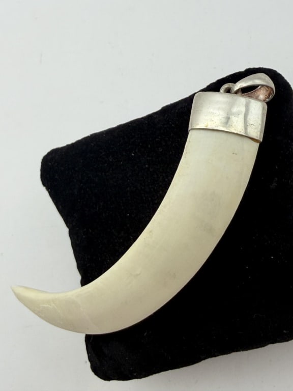 4" 27 GRAM BOAR TUSK STERLING PENDANT: LARGE POLISHED AND CLEANED BOAR TUSK PENDANT WITH STERLING BASE AND BAIL. BAIL FITS 6MM BEADS. MEASURES 4" DIRECTLY ACROSS. BASE IS 0.75". USA SHIPPING $5.
