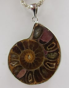 AMMONITE NAUTILUS SHELL FOSSIL NECKLACE STERLING