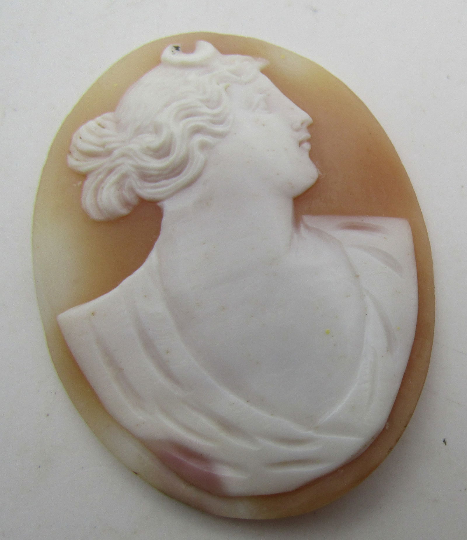 ANTIQUE CARVED SHELL CAMEO 1 3/4" BY 1 3/8": 45mm by 33mm CARVED SHELL CAMEO. EXCELLENT USED CONDITION. WITH IMPERIAL AUCTION THE COST FOR PACKING AND SHIPPING VIA USPS IN THE USA IS $5.