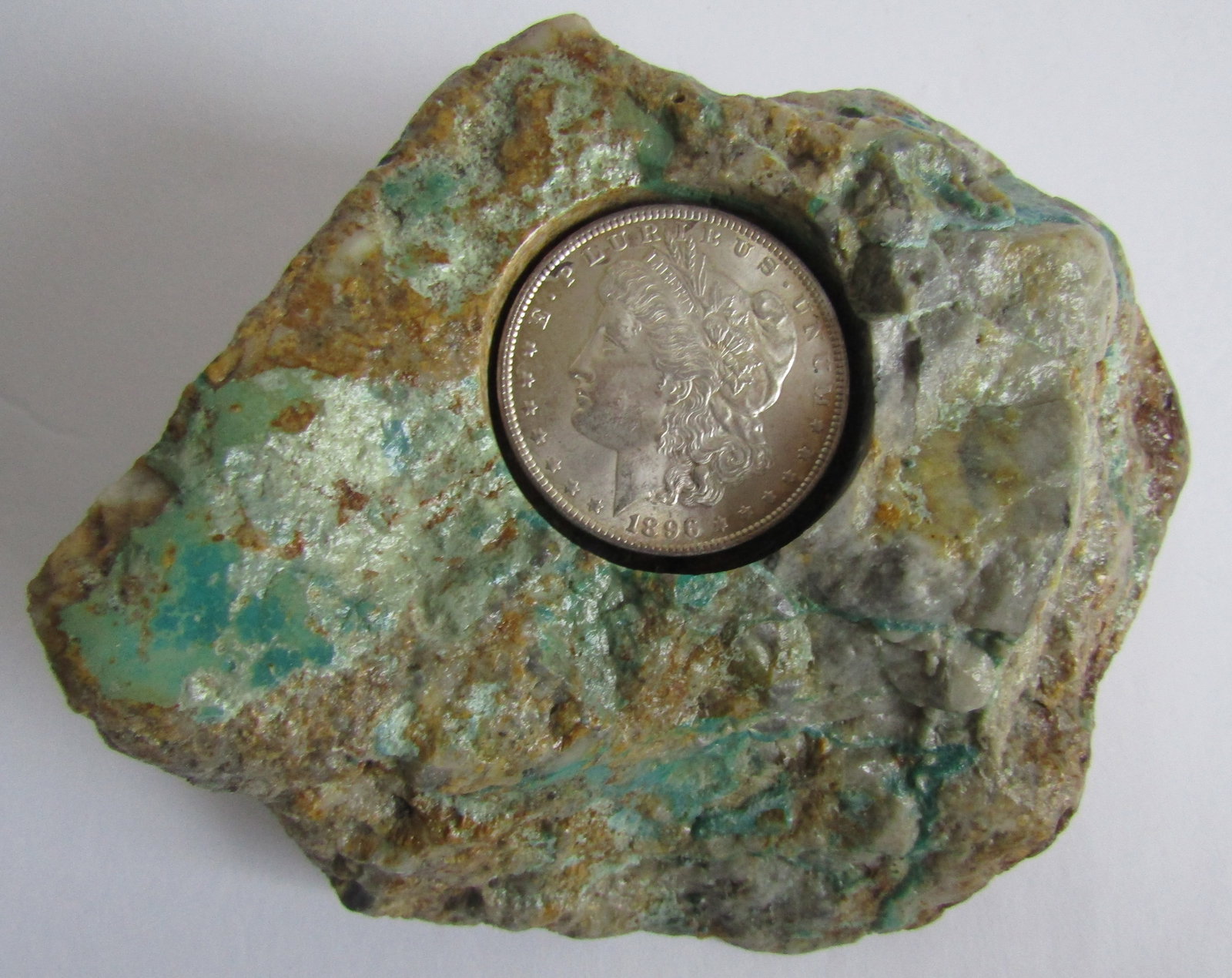 1018GRM TURQUOISE & 1896 SILVER DOLLAR PAPERWEIGHT: 1018 GRAM TURQUOISE VEIN BOULDER WITH 1896 MORGAN SILVER DOLLAR. 6 INCH BY 4 INCH AND 2 INCH THICK. WEIGHS 1018 GRAMS. USA SHIPPING USPS $5.