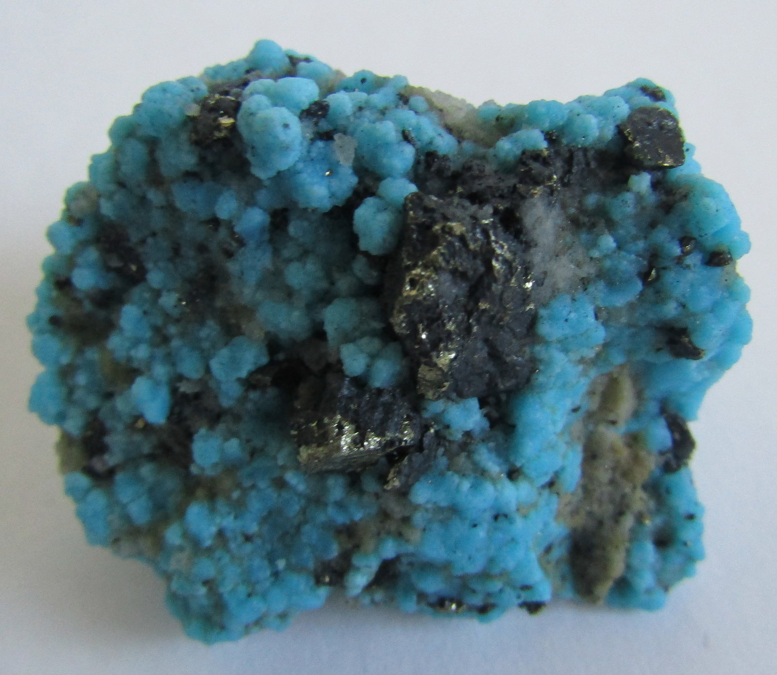 33.5 GRAM TURQUOISE NUGGET STONE SPECIMEN (1 of 4)