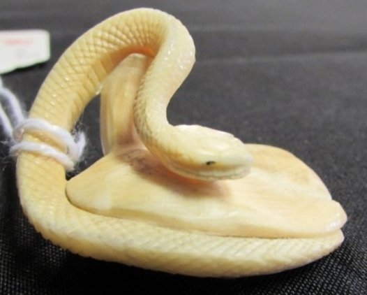 HAND CARVED ASIAN IVORY SNAKE NETSUKE: 3.0 HAND CARVING ASIAN IVORY SNAKE FIGURINE. AMAZING DETAIL DOWN TO THE TEXTURE OF THE SKIN SCALES. MEASURES 1" TALL x 1 & 3/4" WIDE. GREAT DETAIL. NO CHIPS, NO CRACKS.FEDERAL LAW PROHIBITS SHIPPING I