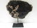 PETRIFIED WOOD (200 MILLION YEAR FOSSIL) - 4