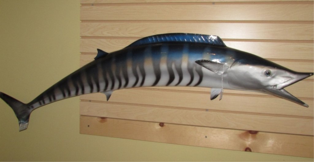 LARGE 5' WAHOO FISH TROPHY MOUNT: SALTWATER FISHING TAXIDERMY STYLE. ARTIST MADE, FIBERGLASS & METAL. HAS DAMAGED TAIL. 58.0" W x 11.0" H x 3.0" D