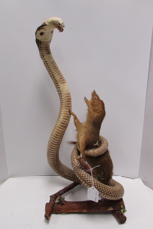 stuffed cobra
