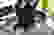 item-44122129=5