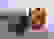 item-45322042=7
