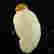 item-59446564=1