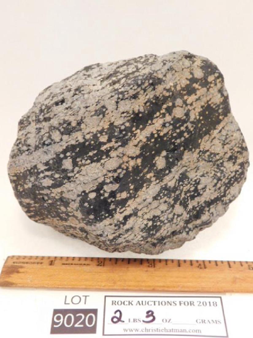 Snowflake Obsidian Rock Stone Lapidary Specimen Yes Jan 03 18 Col Christie Hatman Auctioneers In Mo Snowflake Obsidian Rock Stone Lapidary Specimen Yes Jan 03 18 Col Christie Hatman Auctioneers In Mo