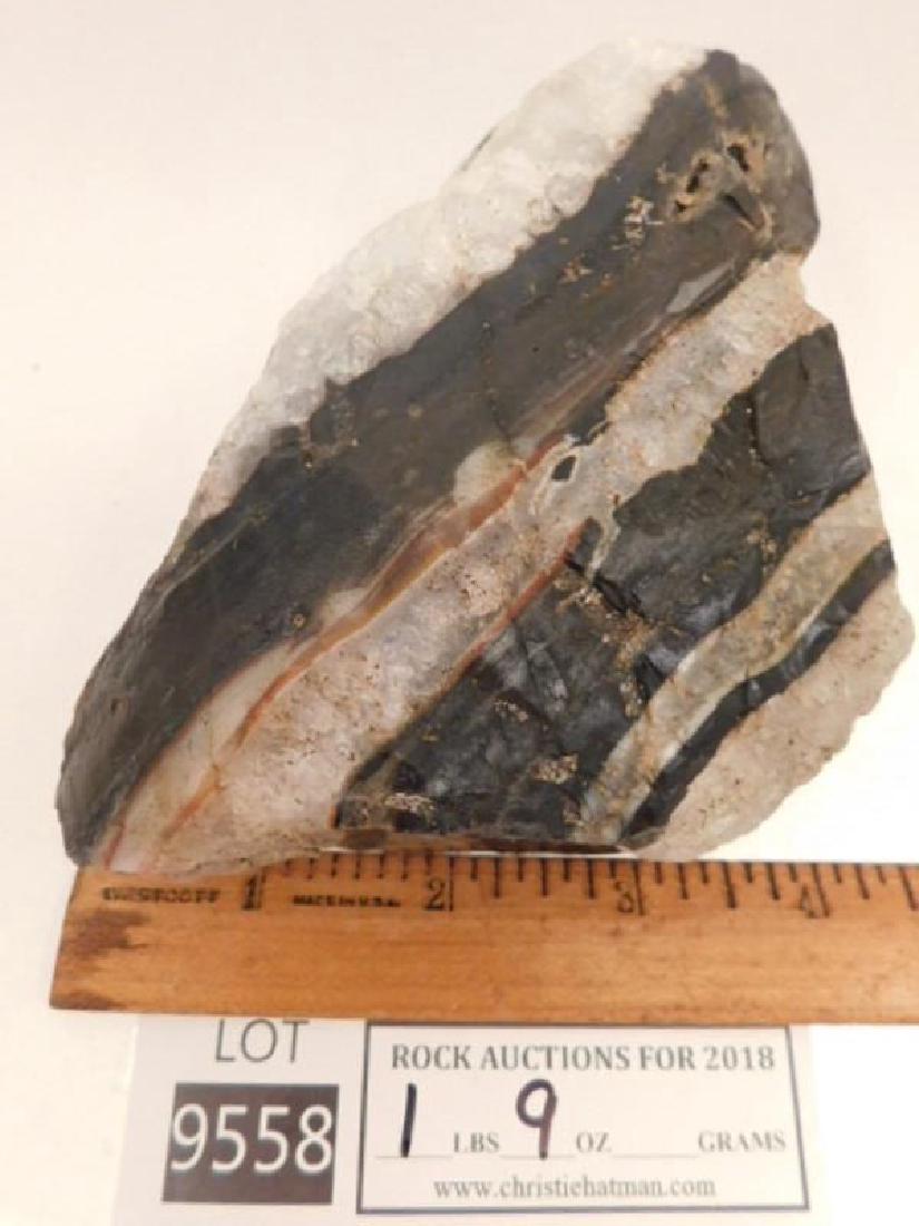 ZEBRA ROCK STONE LAPIDARY SPECIMEN (Yes, we ship!): Thank you for attending HATMAN AUCTIONS! This auctions consists of part of an estate collection of rocks from around the world. This is a rare opportunity to bid on Rough rocks, slabs, cabochons, jewe