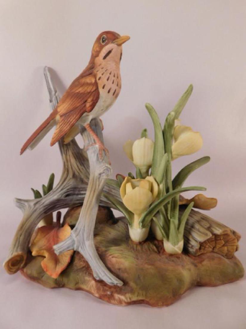 VEERY THRUSH BY ANDREA BY SADEK HAND MADE AND HAND: VEERY THRUSH BY ANDREA BY SADEK HAND MADE AND HAND PAINTED FIGURINE (YES, WE SHIP!)