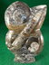 ORTHOCERAS FOSSILIZED FOSSIL ROCK STONE LAPIDARY