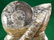 ORTHOCERAS FOSSILIZED FOSSIL ROCK STONE LAPIDARY - 3