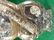 ORTHOCERAS FOSSILIZED FOSSIL ROCK STONE LAPIDARY - 4