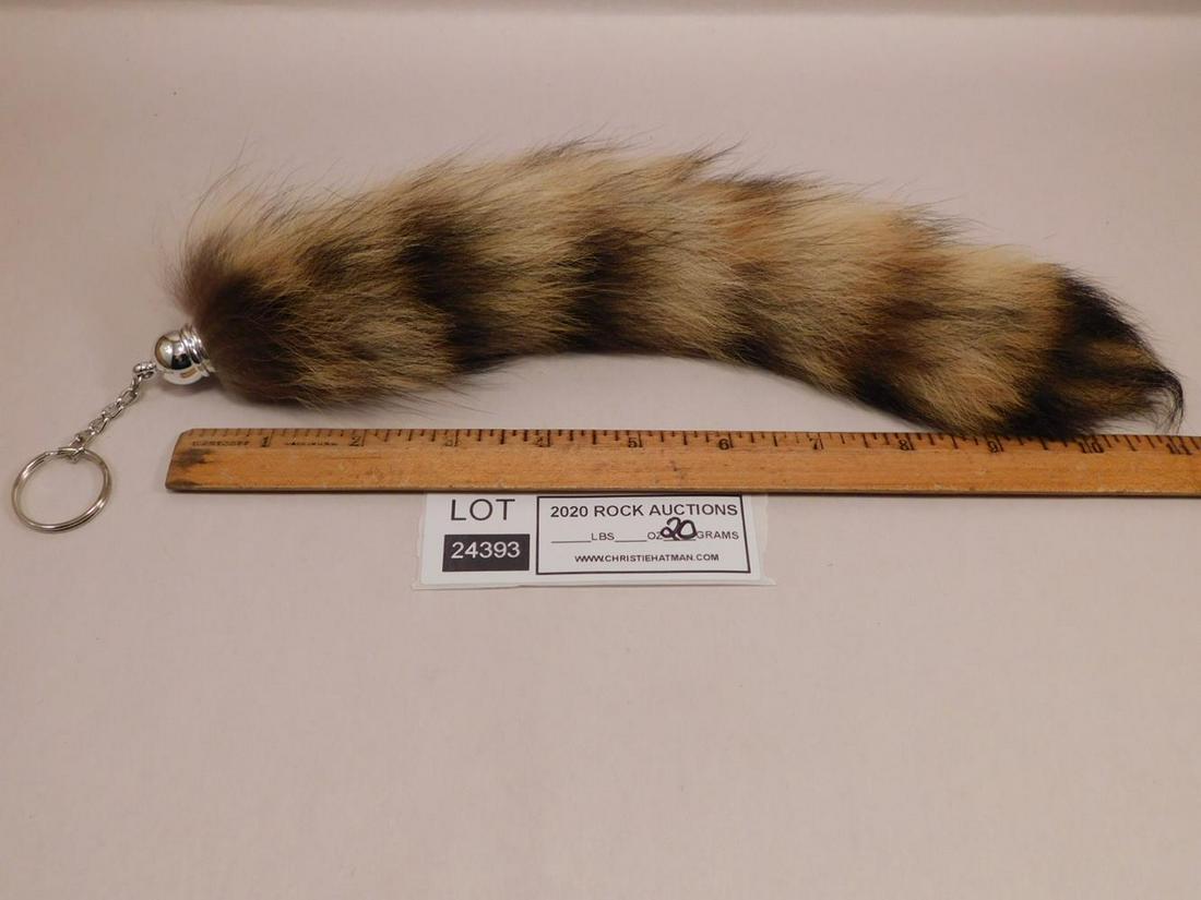 TAXIDERMY FOX TAIL: TAXIDERMY FOX TAIL