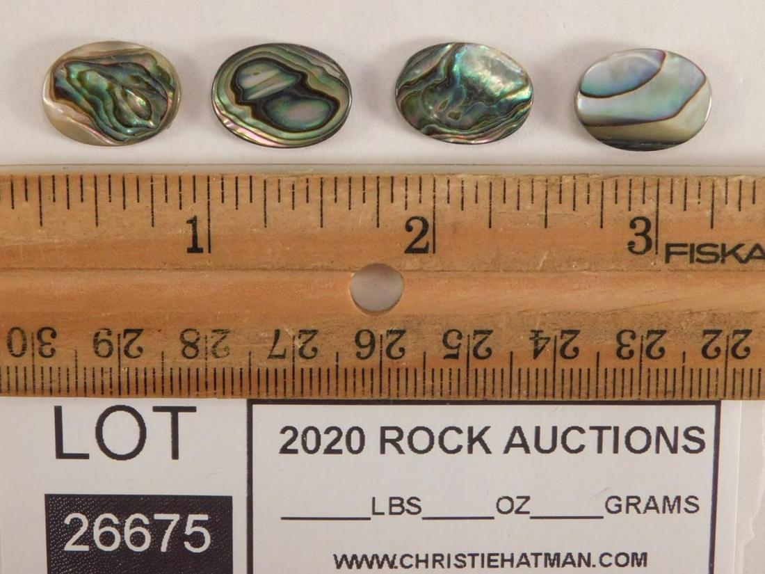 ABALONE SHELL CABOCHONS: ABALONE SHELL CABOCHONS
