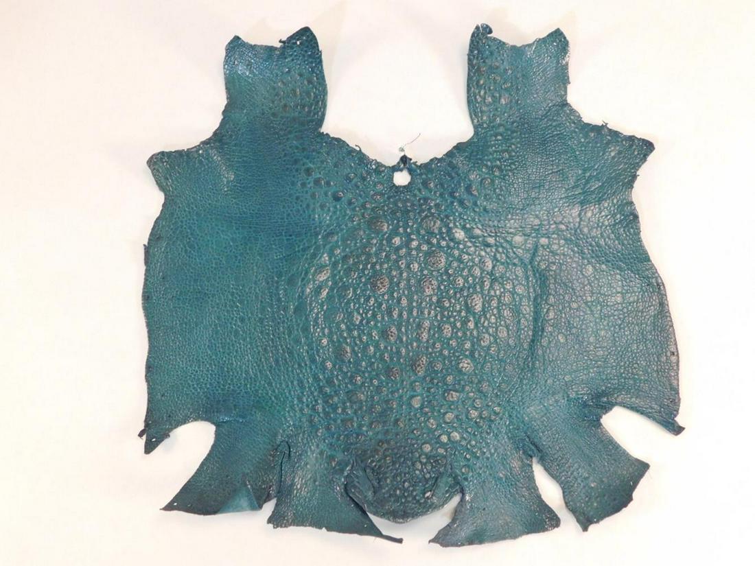 FROG HIDE LEATHER TAXIDERMY: FROG HIDE LEATHER TAXIDERMY