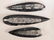 ORTHOCERAS FOSSILIZED FOSSIL ROCK STONE LAPIDARY - 2