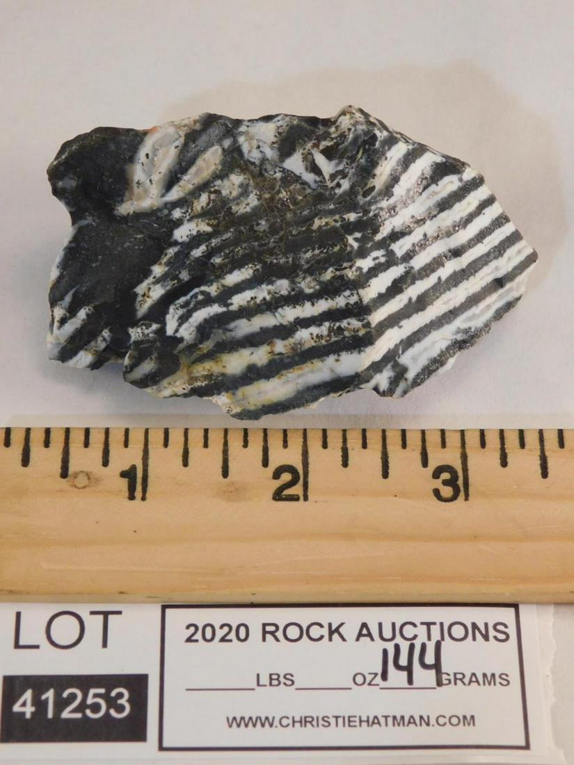 ZEBRA ROCK STONE LAPIDARY SPECIMEN: ZEBRA ROCK STONE LAPIDARY SPECIMEN