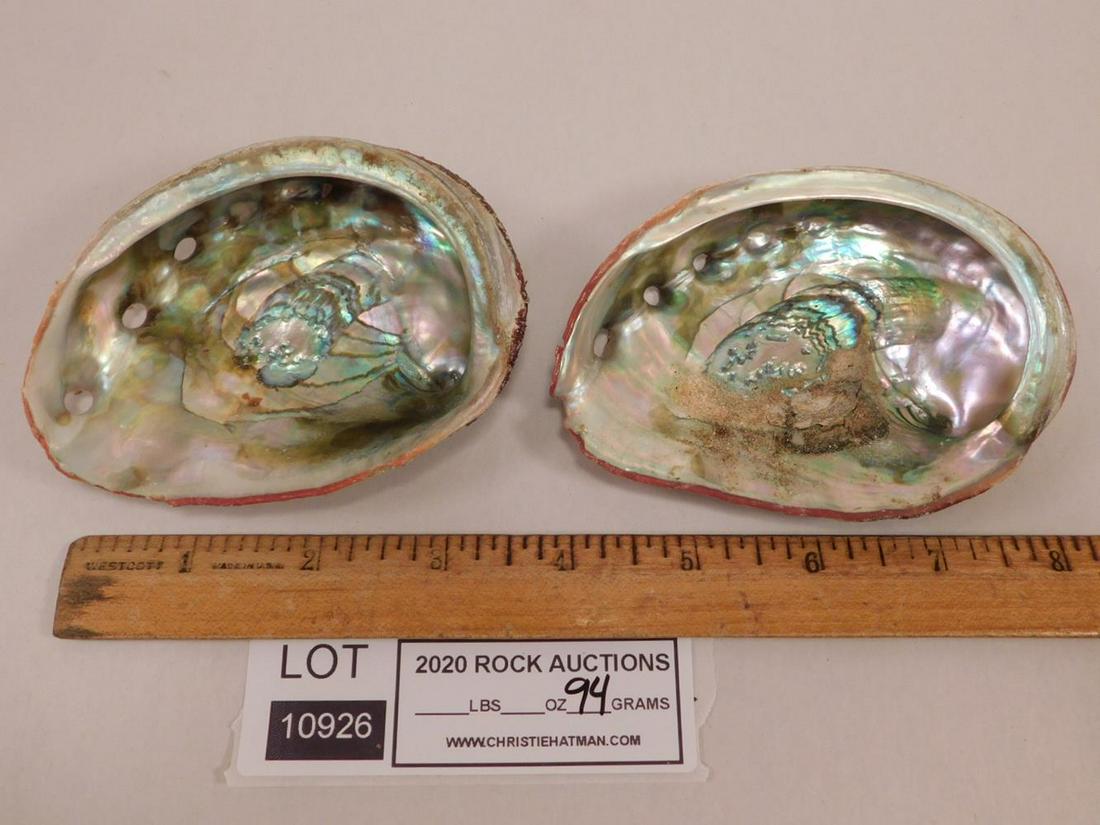 ABALONE SHELLS: ABALONE SHELLS