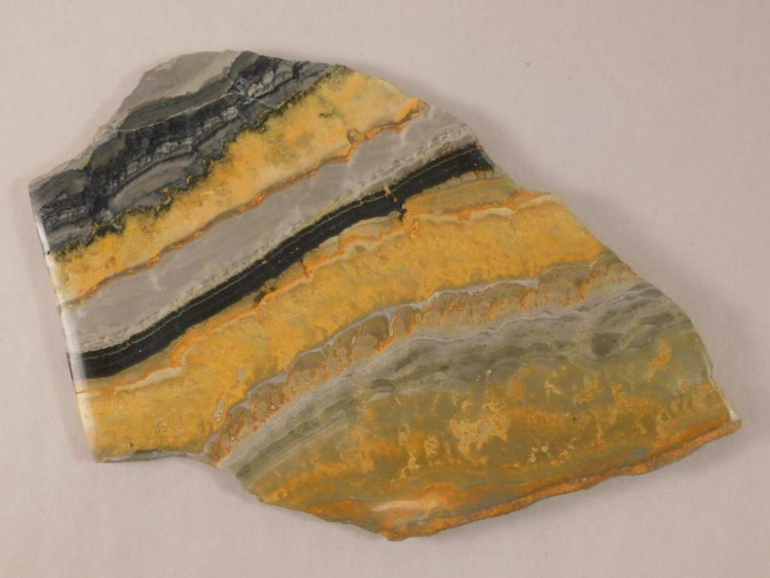 BUMBLEBEE JASPER SLAB  ROCK STONE LAPIDARY SPECIMEN (1 of 3)