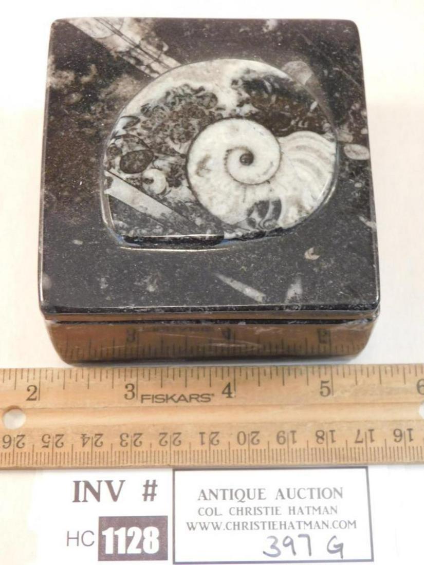 ORTHOCERAS FOSSIL JEWELRY BOX    ROCK STONE LAPIDARY (1 of 2)