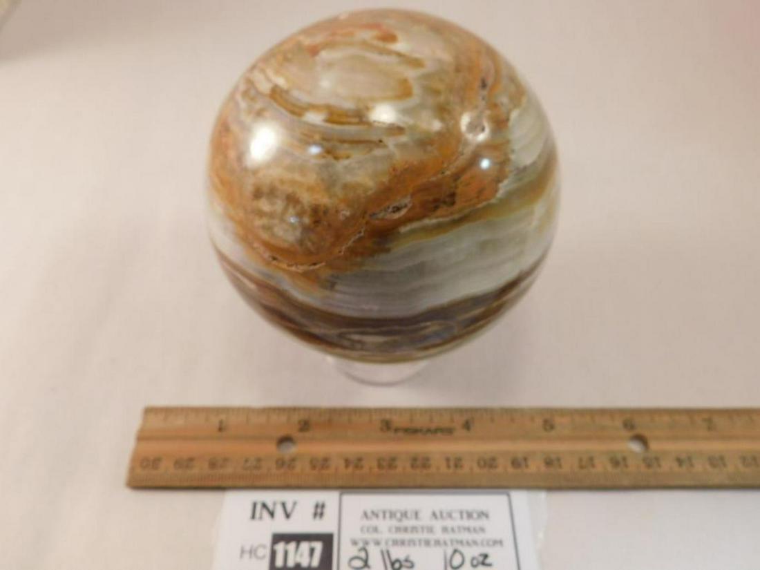 PETRIFIED WOOD   ROCK STONE LAPIDARY SPECIMEN (1 of 1)