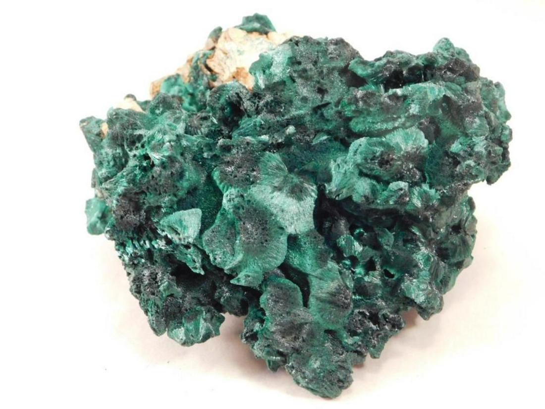 MALACHITE FIBROUS ROCK STONE LAPIDARY SPECIMEN: HATMAN AUCTIONS hosts DAILY ROCK AUCTIONS, including rough rocks, fossils, gems, jewelry, findings, cabochons, minerals, taxidermy, and rarities. Hatman Auctions is the WORLDWIDE LEADER in ROCK AUCTIO