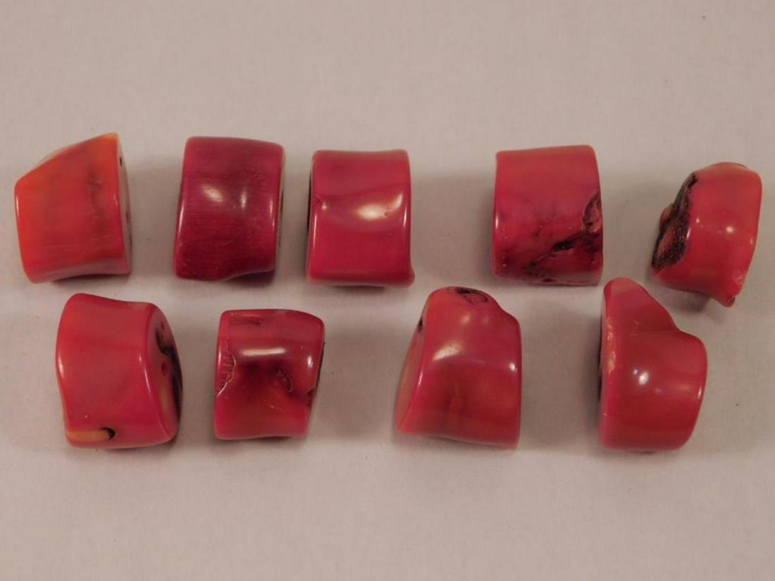 FOSSILIZED CORAL  ROCK STONE LAPIDARY SPECIMEN (1 of 2)