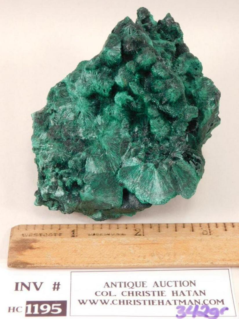 MALACHITE FIBROUS ROCK STONE LAPIDARY SPECIMEN: HATMAN AUCTIONS hosts DAILY ROCK AUCTIONS, including rough rocks, fossils, gems, jewelry, findings, cabochons, minerals, taxidermy, and rarities. Hatman Auctions is the WORLDWIDE LEADER in ROCK AUCTIO