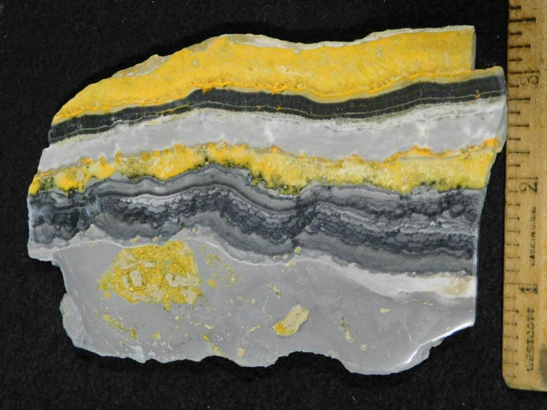 BUMBLEBEE JASPER SLAB  ROCK STONE LAPIDARY SPECIMEN (1 of 2)