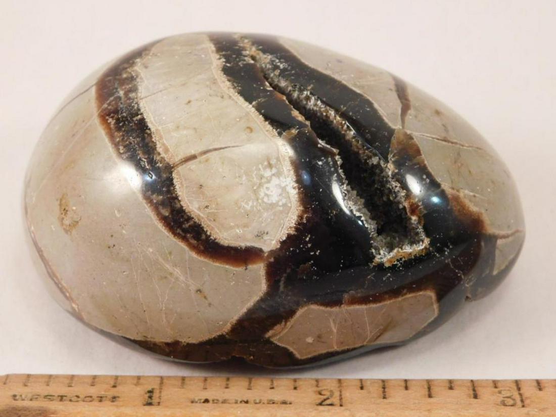 SEPTARIAN ROCK DRAGON EGG  ROCK STONE LAPIDARY SPECIMEN (1 of 3)