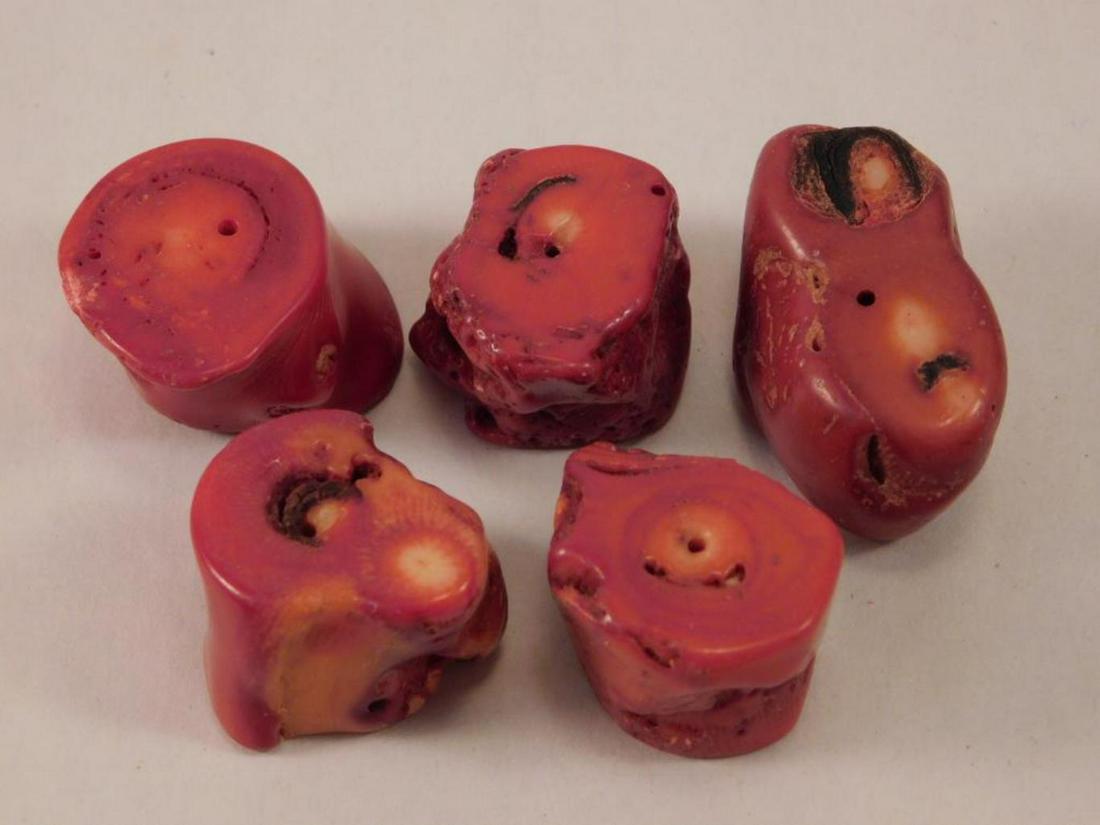 FOSSILIZED CORAL  ROCK STONE LAPIDARY SPECIMEN (1 of 3)