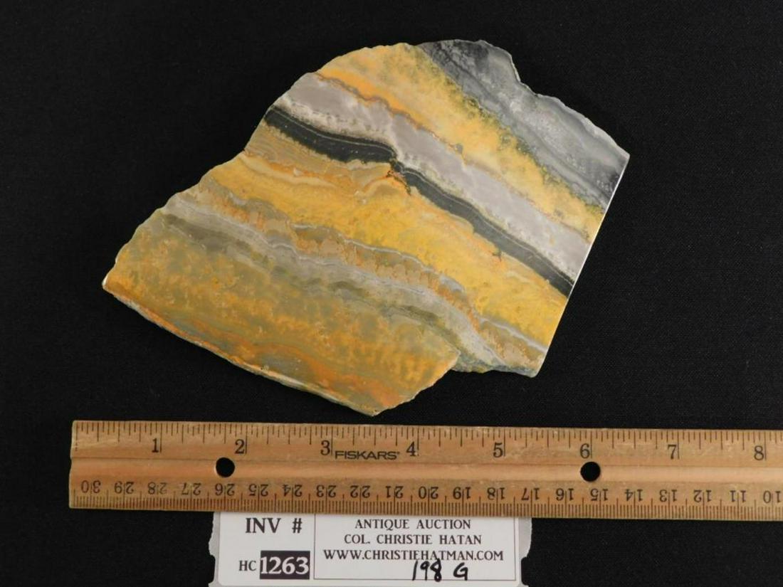BUMBLEBEE JASPER SLAB  ROCK STONE LAPIDARY SPECIMEN (1 of 2)