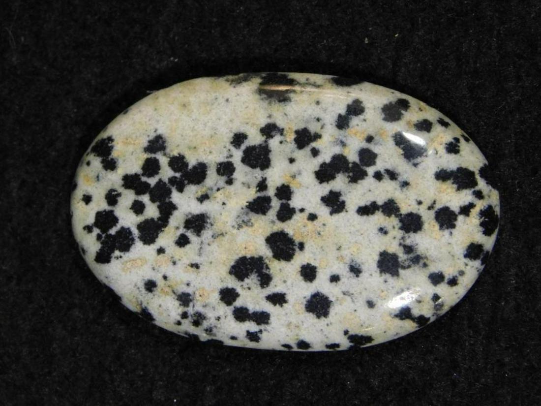 DALMATION JASPER ROCK STONE LAPIDARY SPECIMEN: DALMATION JASPER ROCK STONE LAPIDARY SPECIMEN