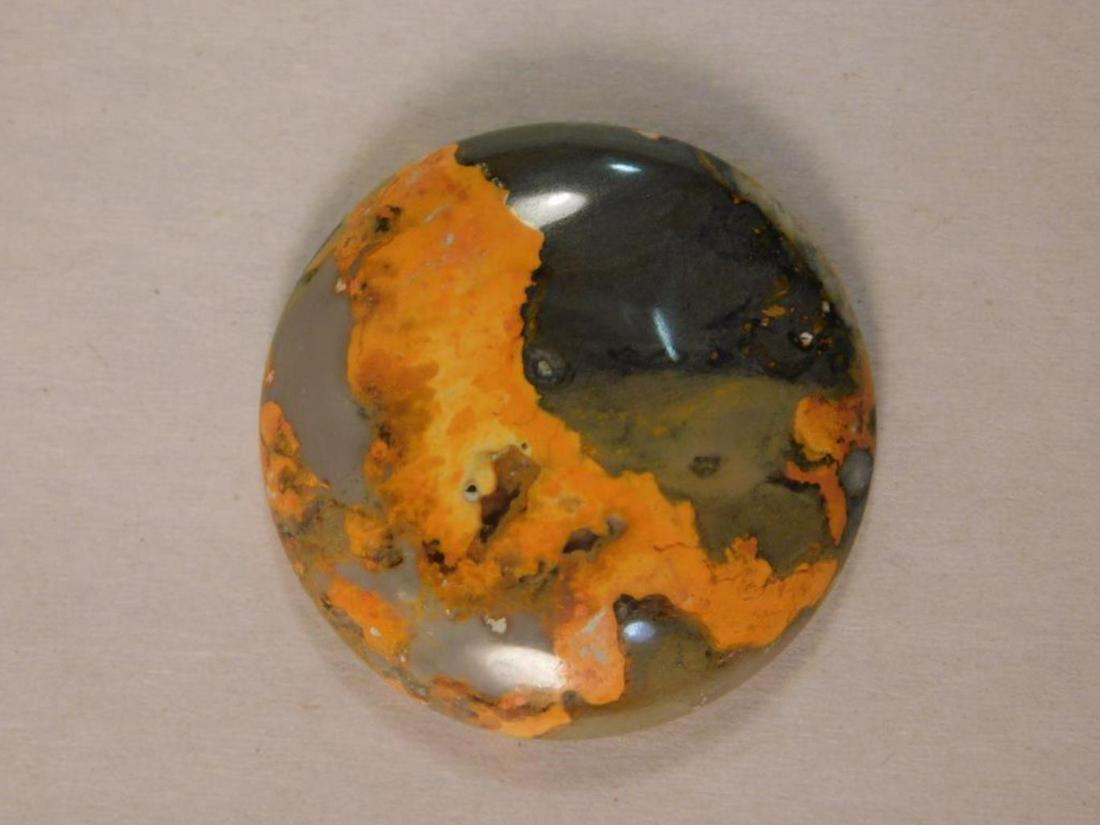 BUMBLEBEE JASPER  ROCK STONE LAPIDARY SPECIMEN (1 of 2)