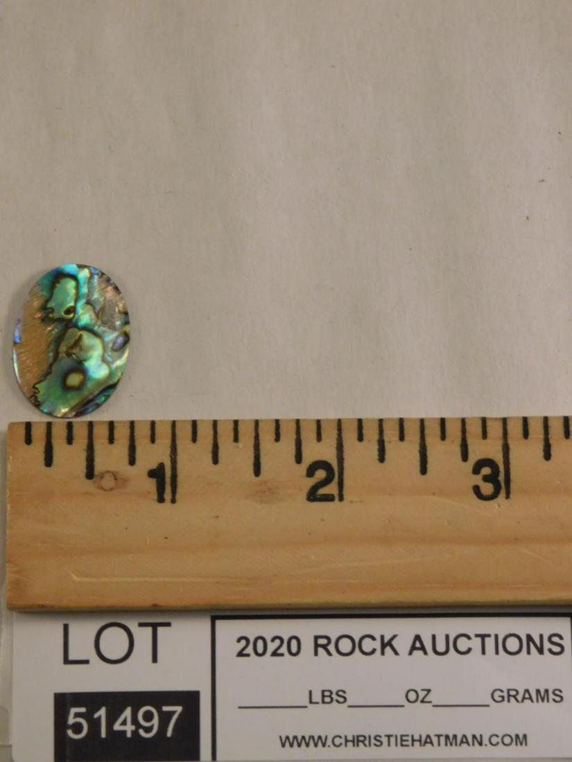 ABALONE SHELL CABOCHON: ABALONE SHELL CABOCHON