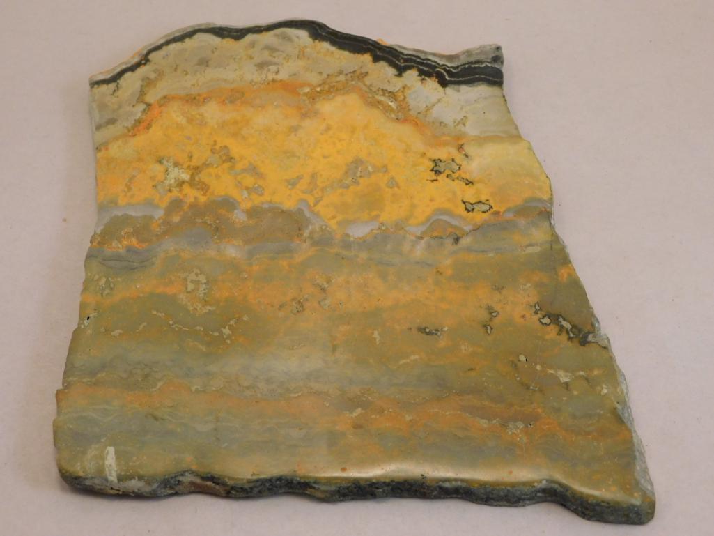BUMBLEBEE JASPER SLAB ROCK STONE LAPIDARY SPECIMEN: BUMBLEBEE JASPER SLAB ROCK STONE LAPIDARY SPECIMEN