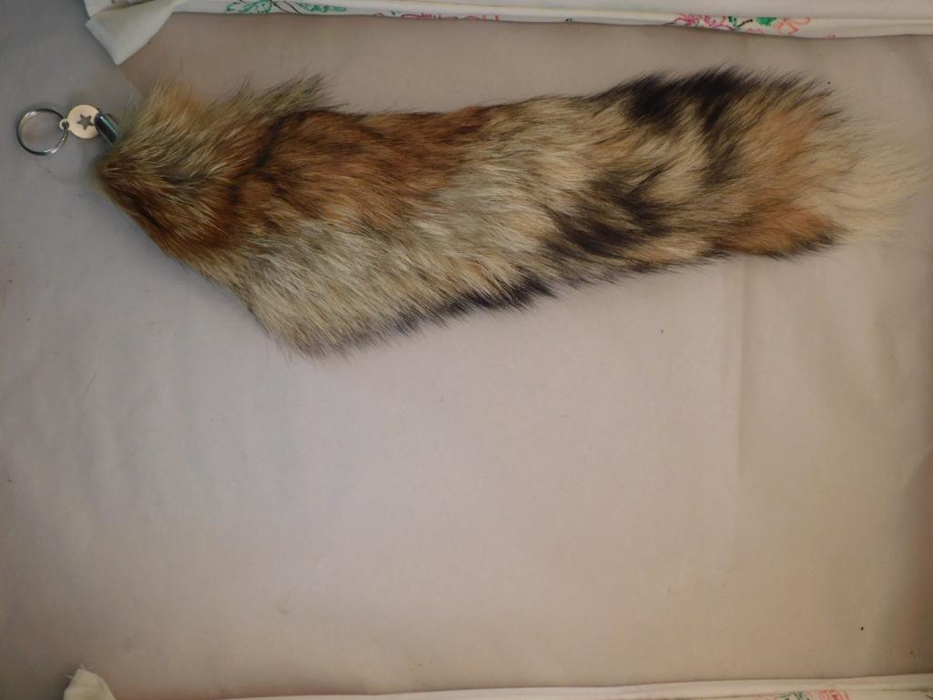 RED FOX TAIL TAXIDERMY ROCK STONE LAPIDARY SPECIMEN: RED FOX TAIL TAXIDERMY ROCK STONE LAPIDARY SPECIMEN