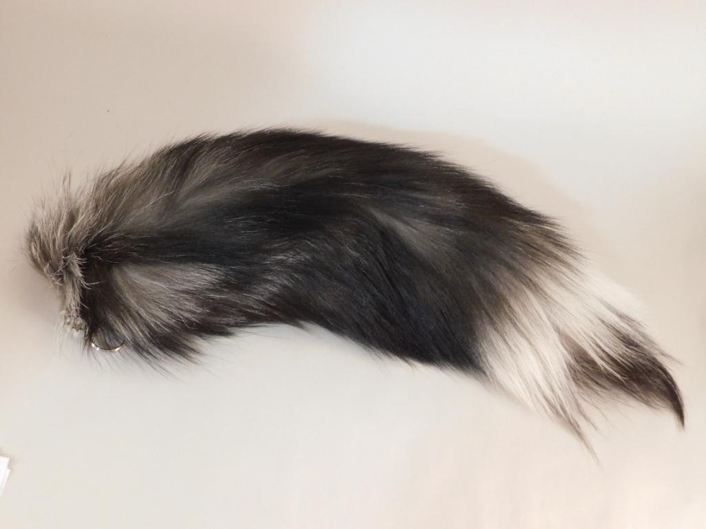SILVER FOX TAIL TAXIDERMY ROCK STONE LAPIDARY SPECIMEN: SILVER FOX TAIL TAXIDERMY ROCK STONE LAPIDARY SPECIMEN