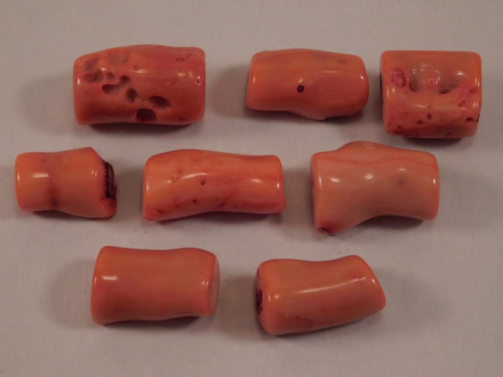CORAL SPECIMEN: CORAL SPECIMEN