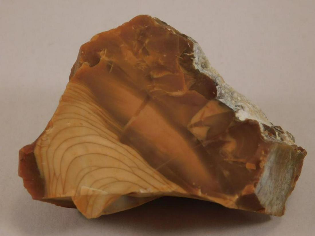 BRUNEAU JASPER ROCK STONE LAPIDARY SPECIMEN: BRUNEAU JASPER ROCK STONE LAPIDARY SPECIMEN