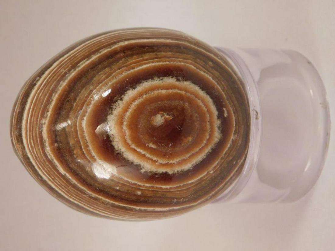 JASPER EGG ROCK STONE LAPIDARY SPECIMEN: JASPER EGG ROCK STONE LAPIDARY SPECIMEN