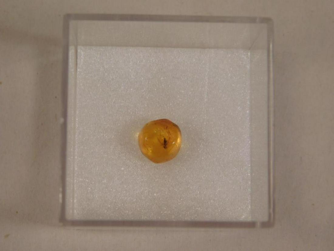 PRESERVED INSECT IN AMBER ROCK STONE LAPIDARAY SPECIMEN: PRESERVED INSECT IN AMBER ROCK STONE LAPIDARAY SPECIMEN